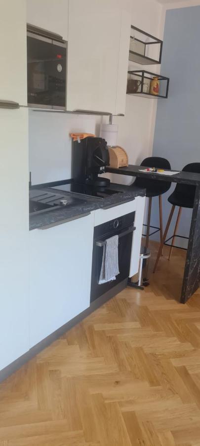 Elena - Studio Apartman Ičići 外观 照片